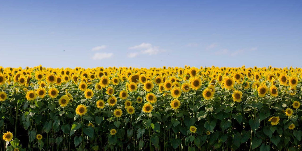 There is no such thing as a singular brand story